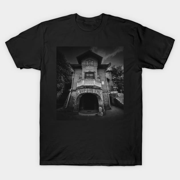The Hunting Castle T-Shirt by psychoshadow